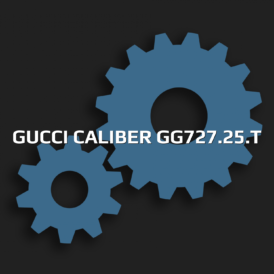 Gucci Caliber GG727.25.T
