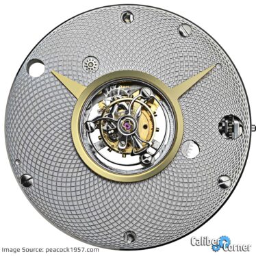 PTS Resources Caliber DG-2813 Watch Movement